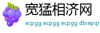 宽猛相济网